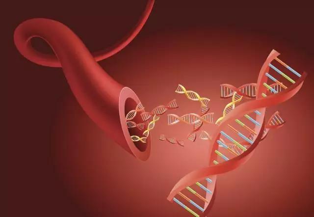 體感振動音樂療法與血液循環