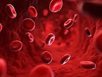 體感振動音樂療法與血液循環